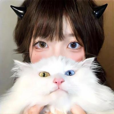 手里剑战队忍忍者